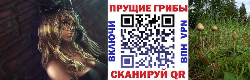 Псилоцибиновые грибы мухоморы  купить наркотики сайты  Долгопрудный 