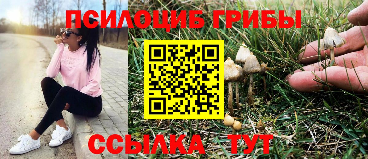 Долгопрудный  купить наркоту  Псилоцибиновые грибы Cubensis  Вход с VPN  Галлюциногенные грибы прущие грибы 